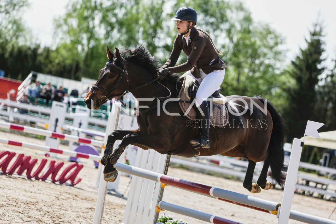 Gramina_Kevad_2026_100_241
