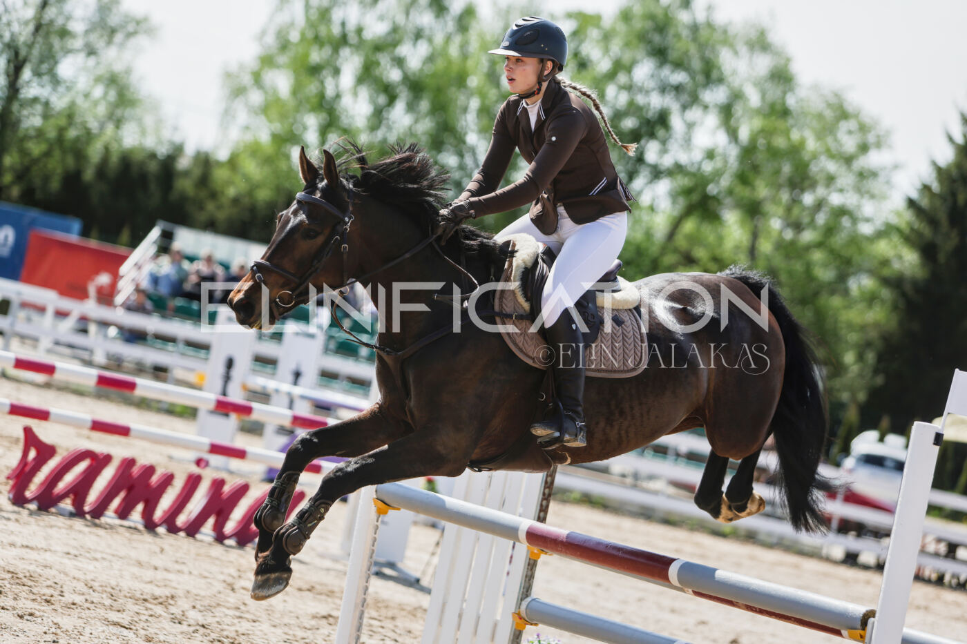 Gramina_Kevad_2026_100_242