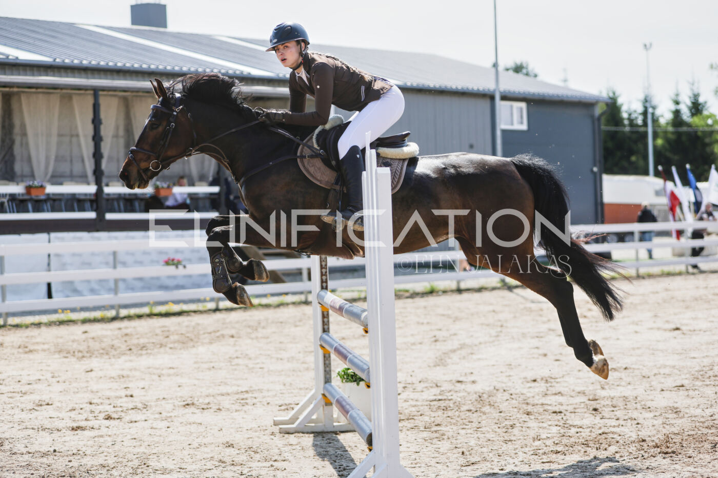 Gramina_Kevad_2026_100_244
