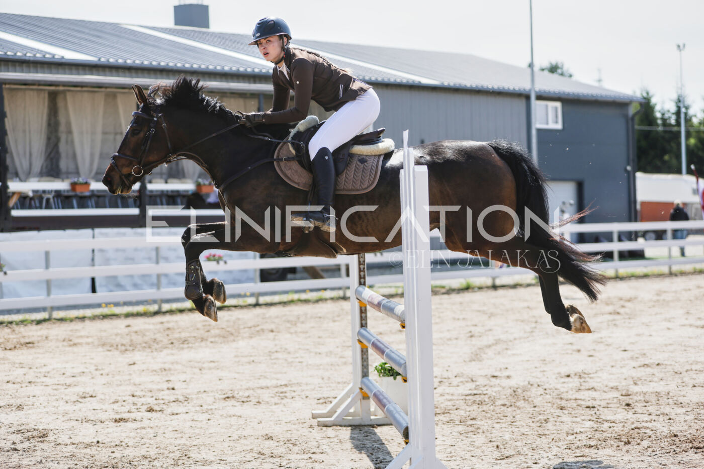 Gramina_Kevad_2026_100_245