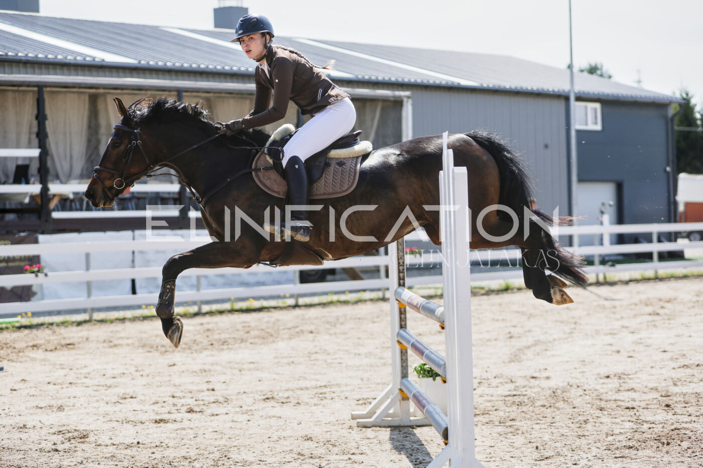Gramina_Kevad_2026_100_246