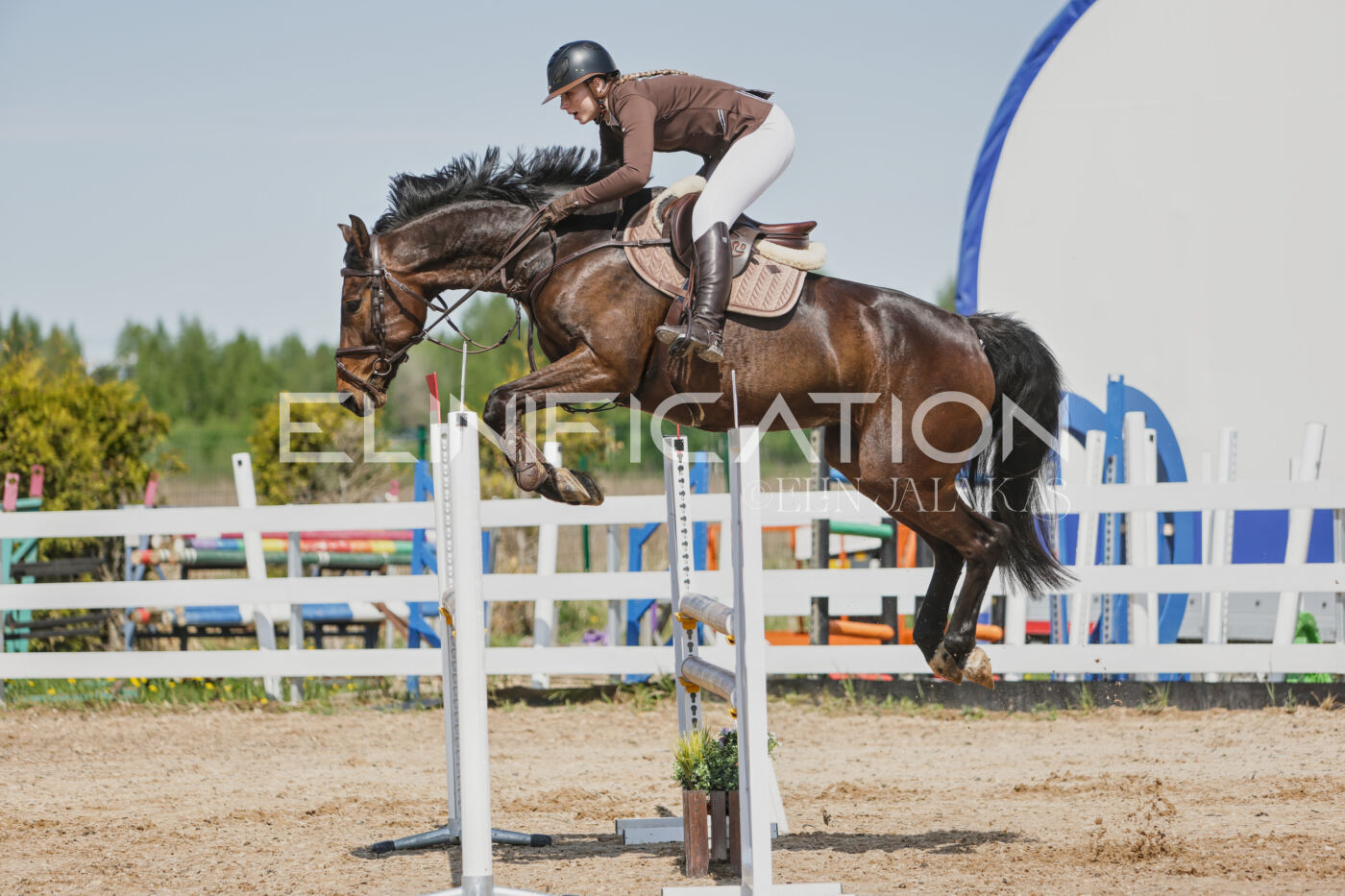 Gramina_Kevad_2026_100_247