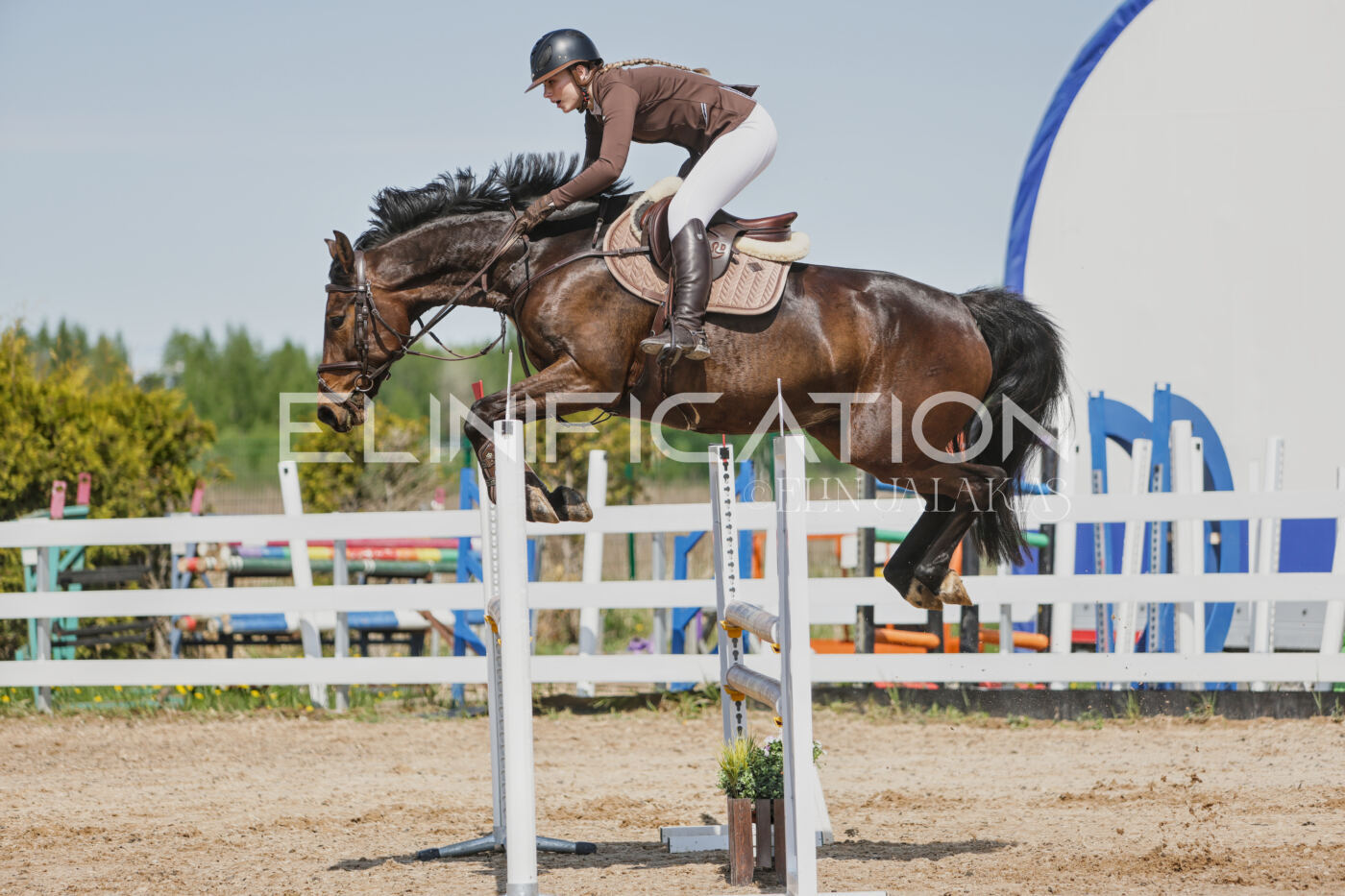 Gramina_Kevad_2026_100_248