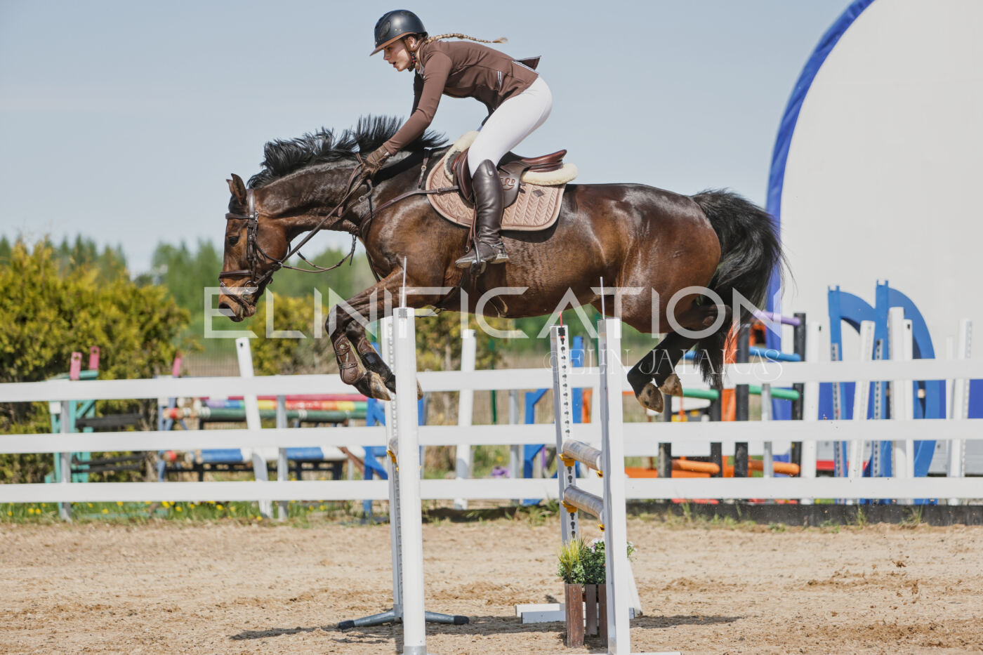 Gramina_Kevad_2026_100_249