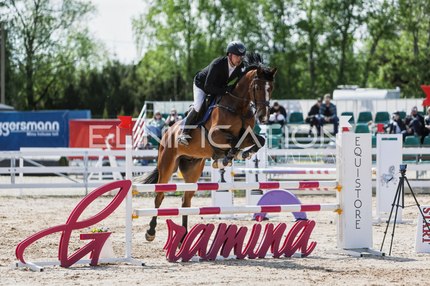 Gramina_Kevad_2026_100_250