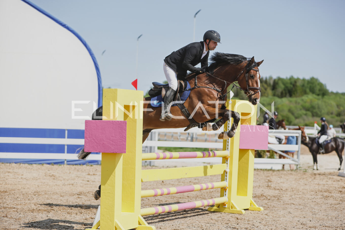 Gramina_Kevad_2026_100_253
