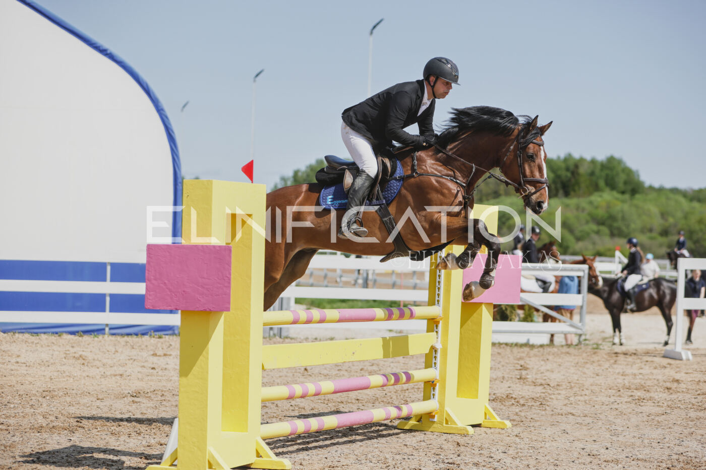 Gramina_Kevad_2026_100_254
