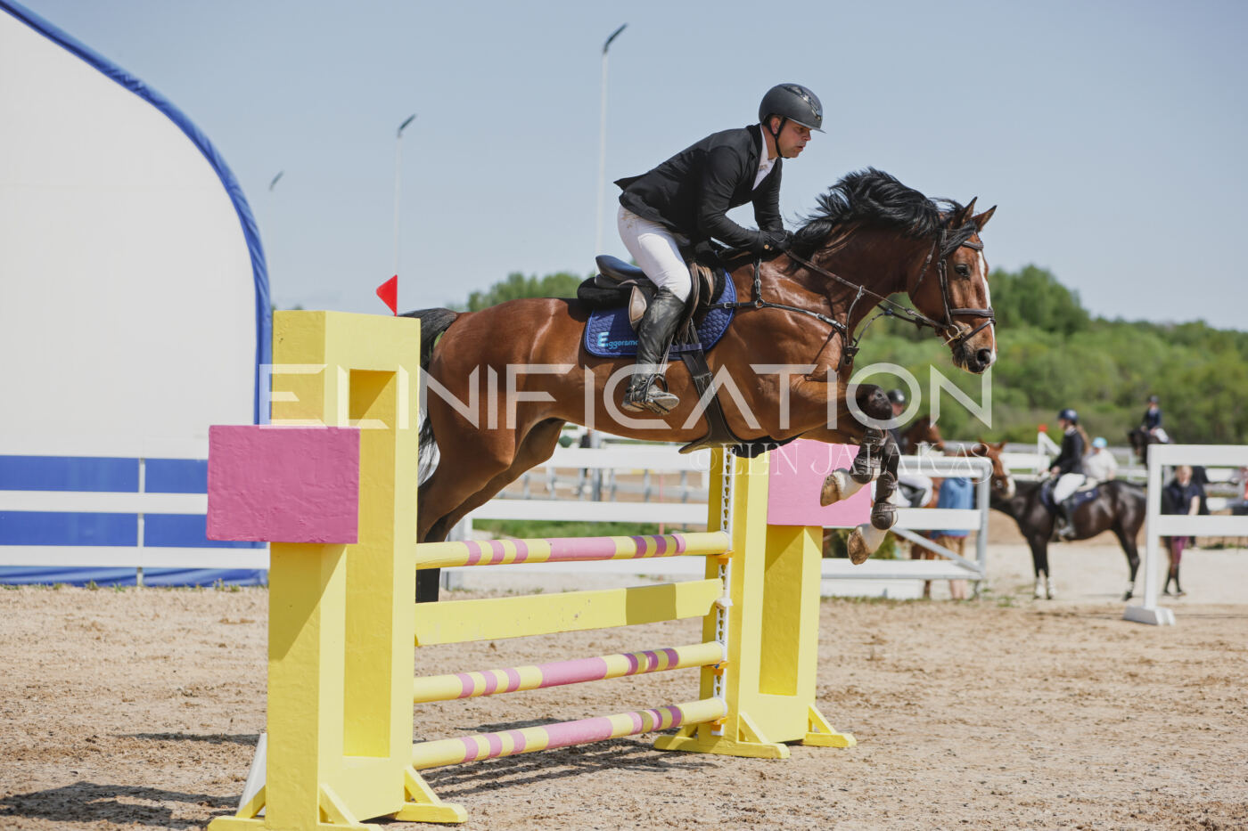Gramina_Kevad_2026_100_255