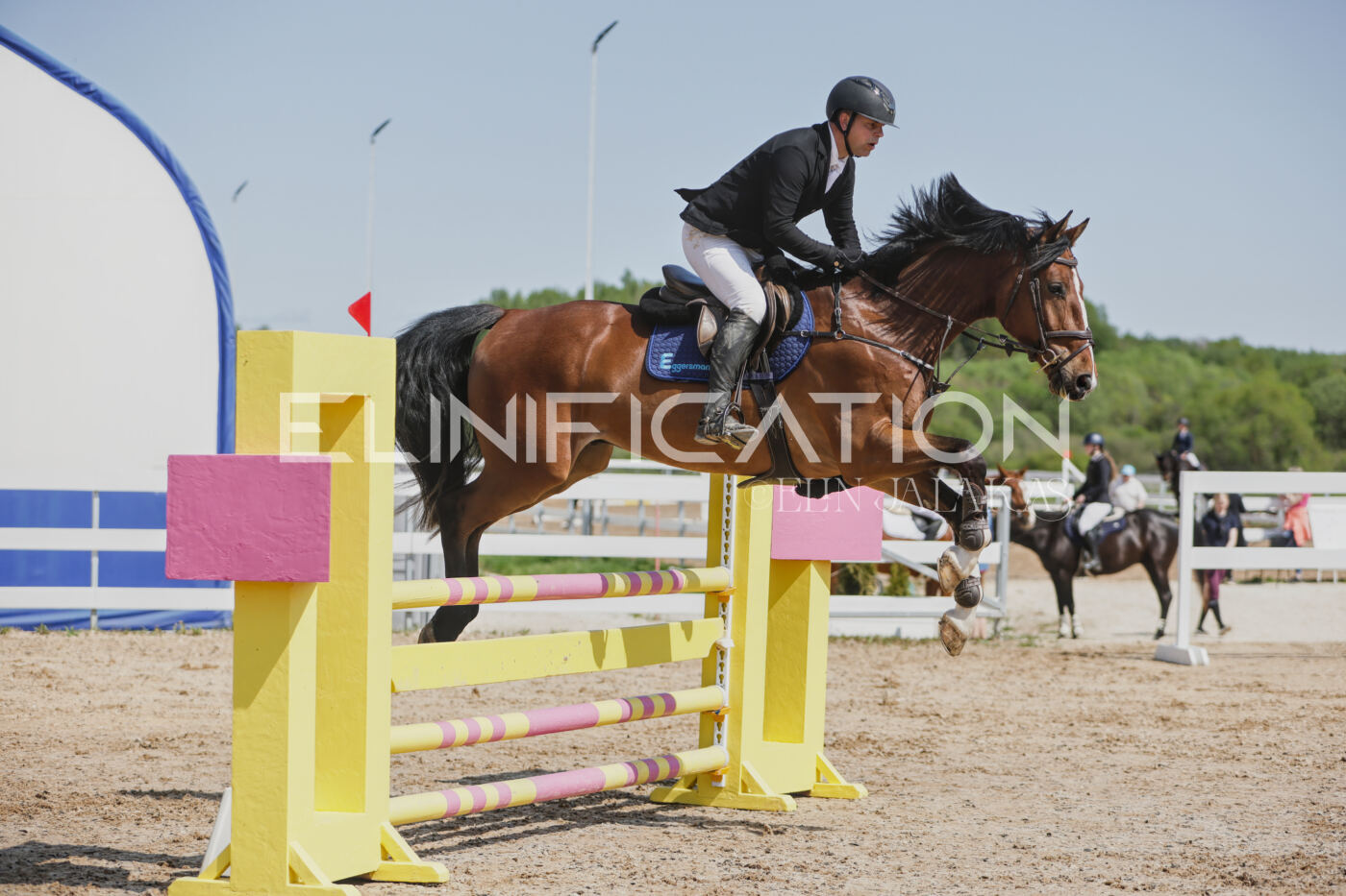 Gramina_Kevad_2026_100_256