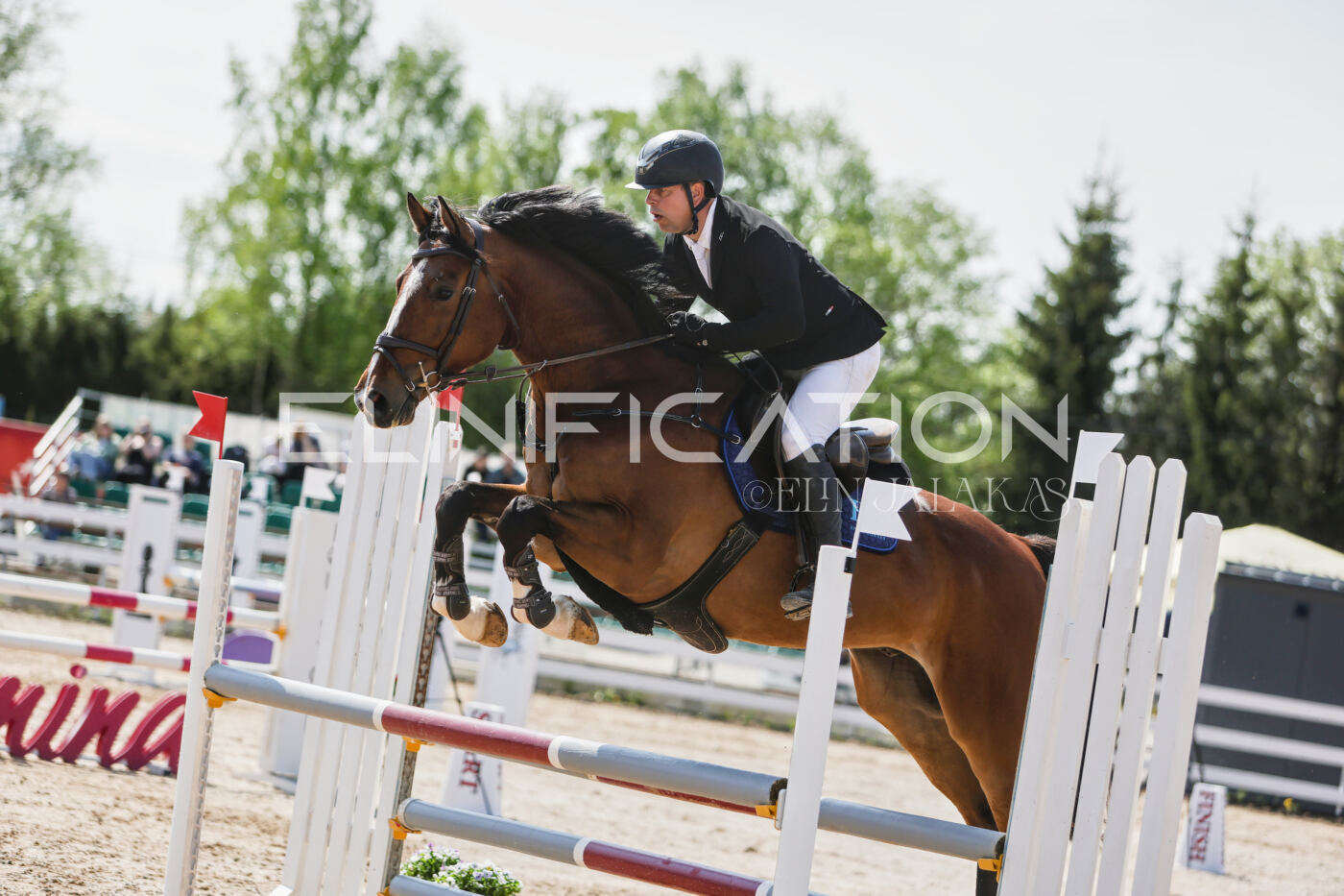 Gramina_Kevad_2026_100_257