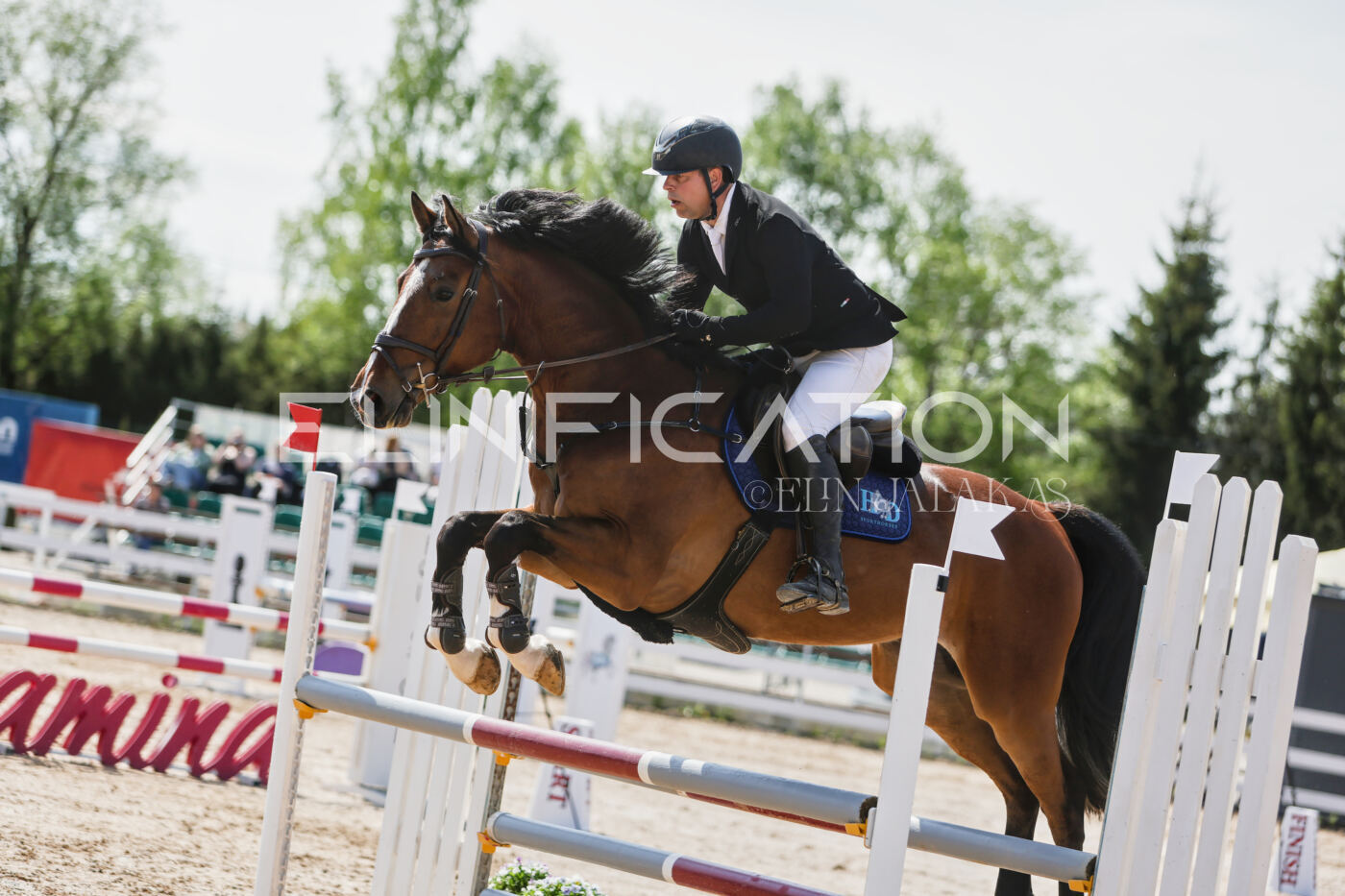 Gramina_Kevad_2026_100_258