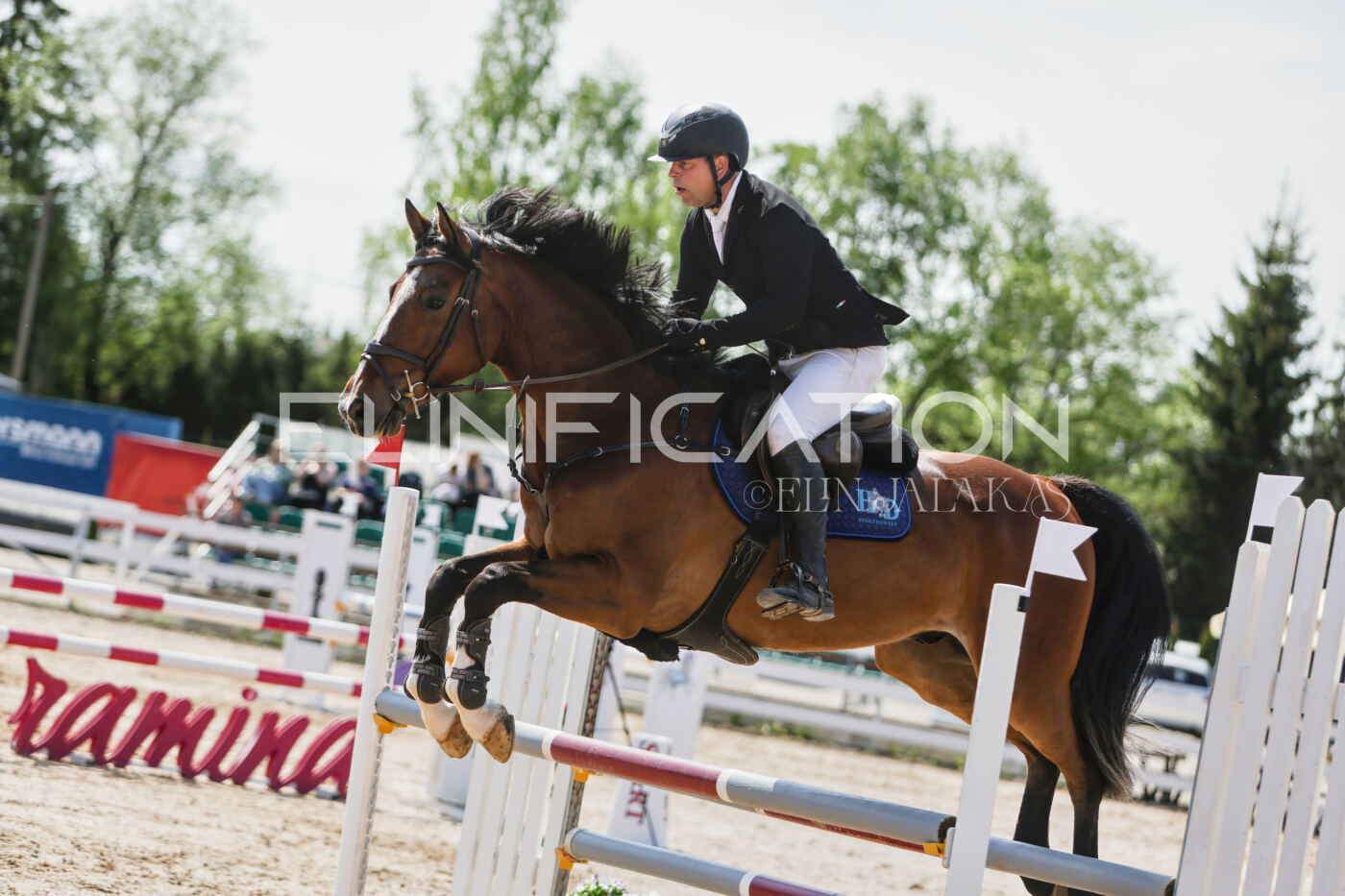 Gramina_Kevad_2026_100_259