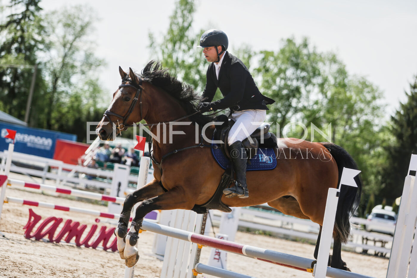 Gramina_Kevad_2026_100_260