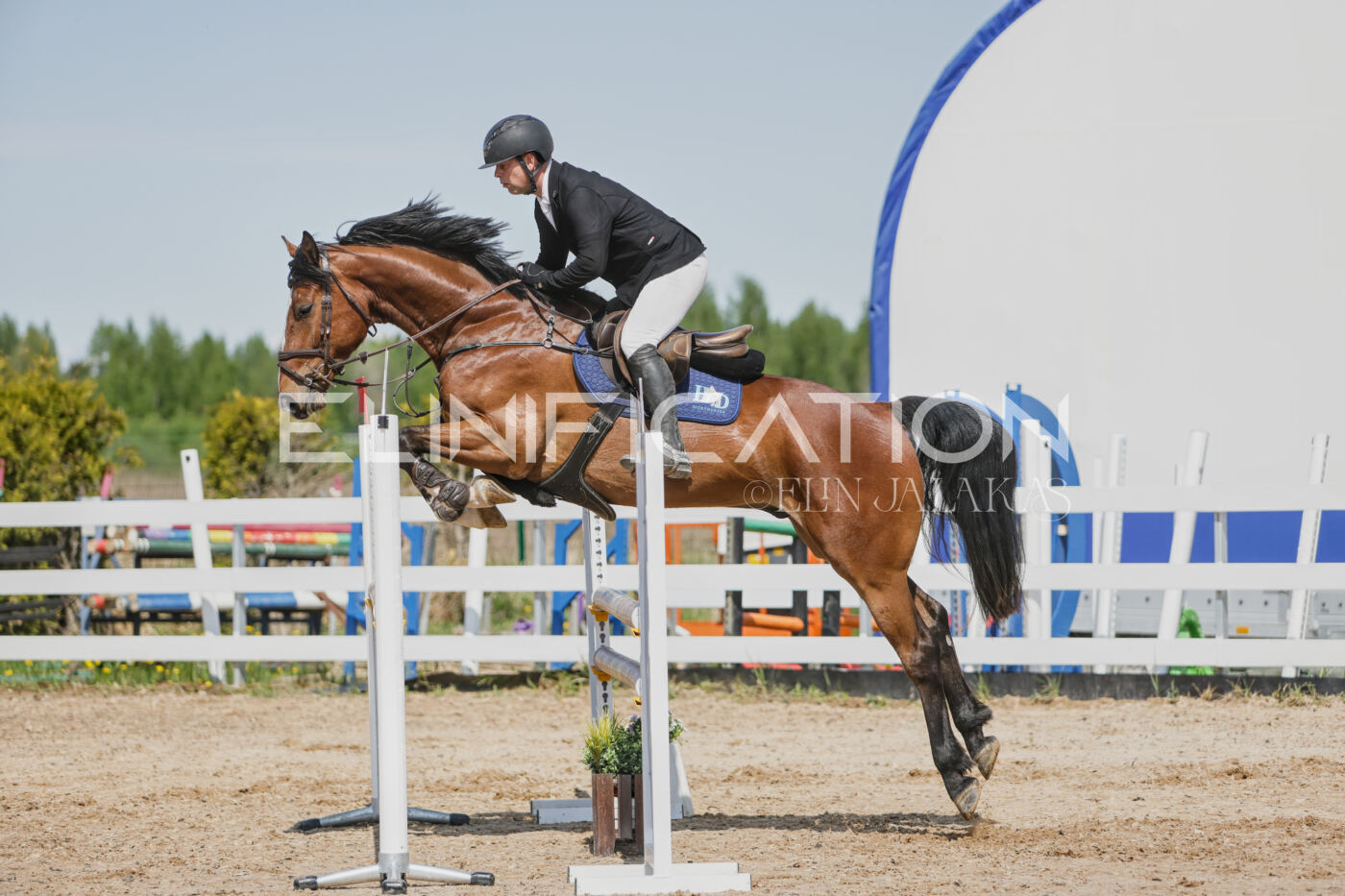 Gramina_Kevad_2026_100_263