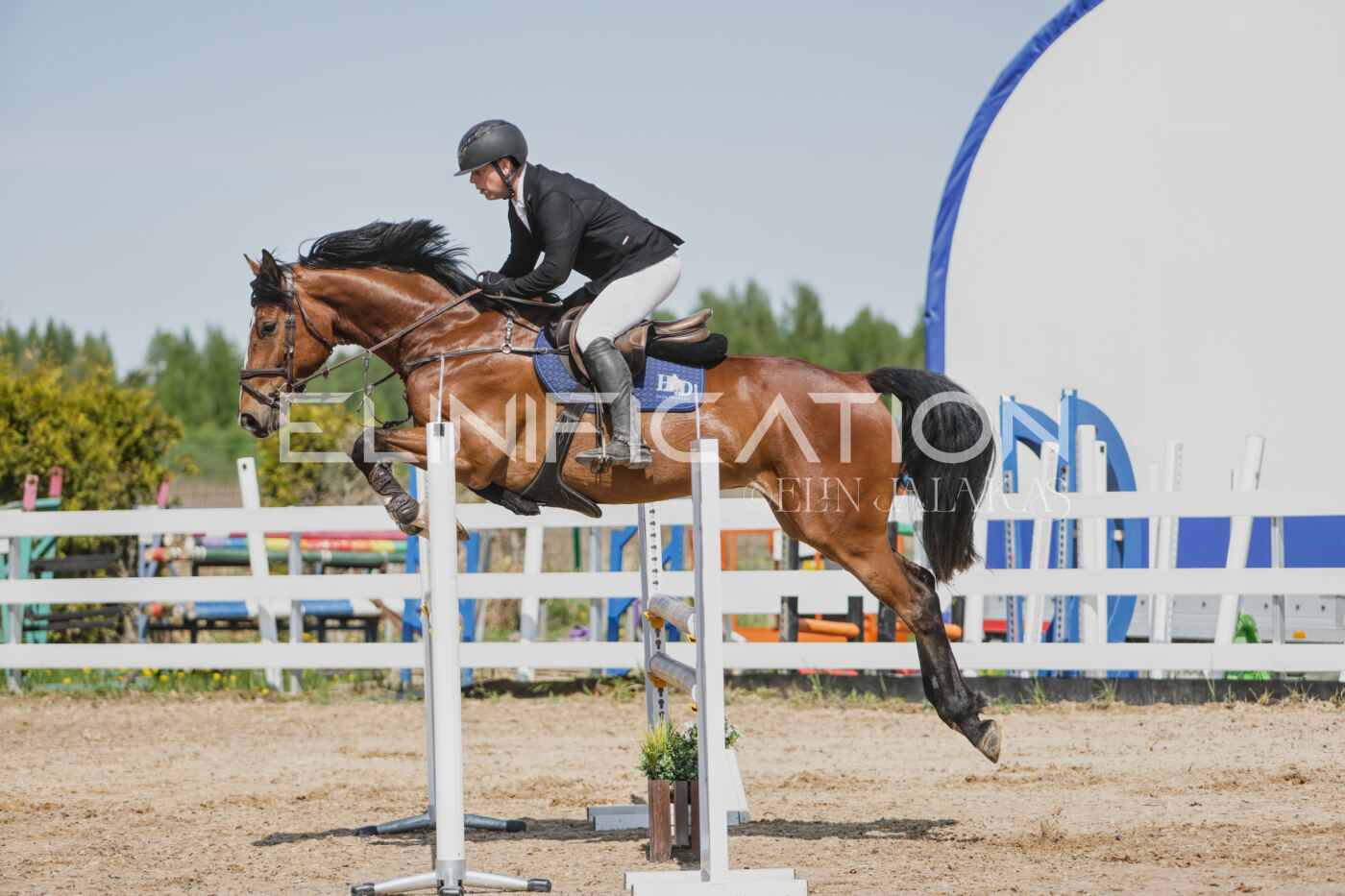 Gramina_Kevad_2026_100_264