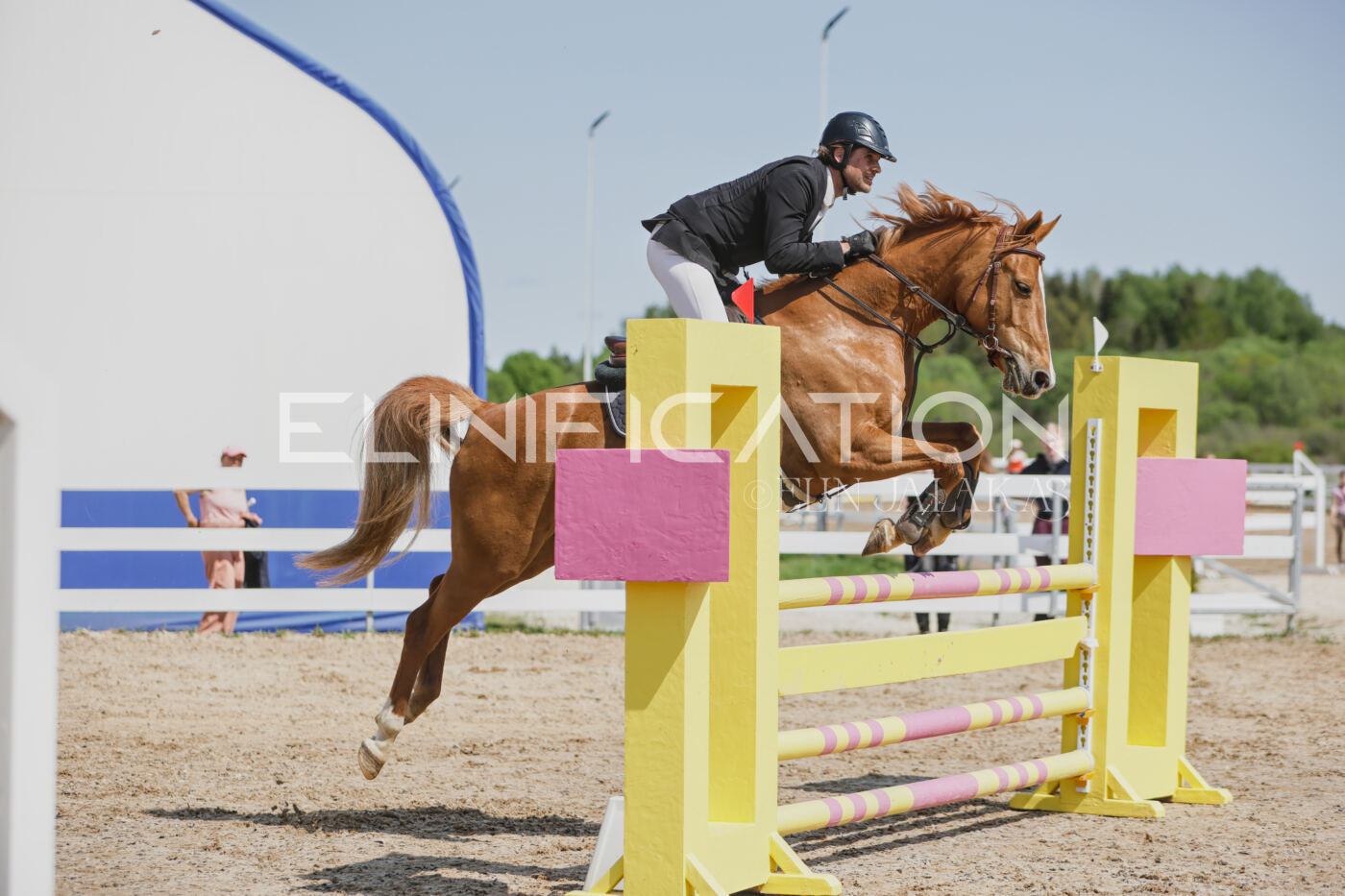 Gramina_Kevad_2026_100_268