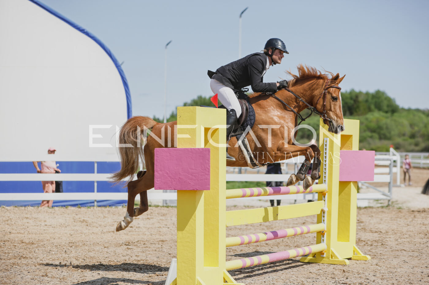 Gramina_Kevad_2026_100_269