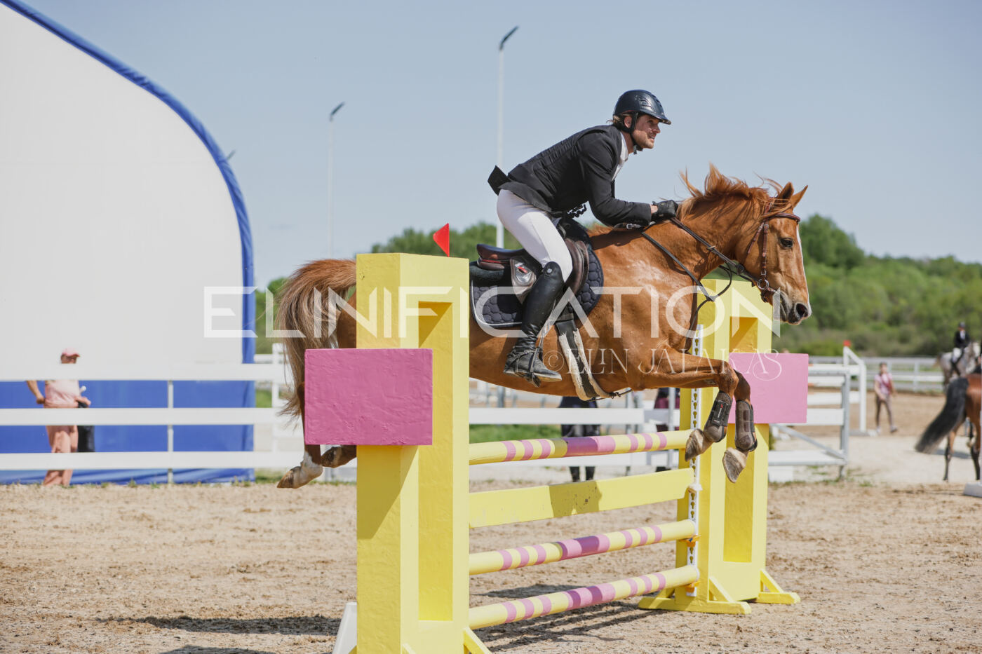 Gramina_Kevad_2026_100_270