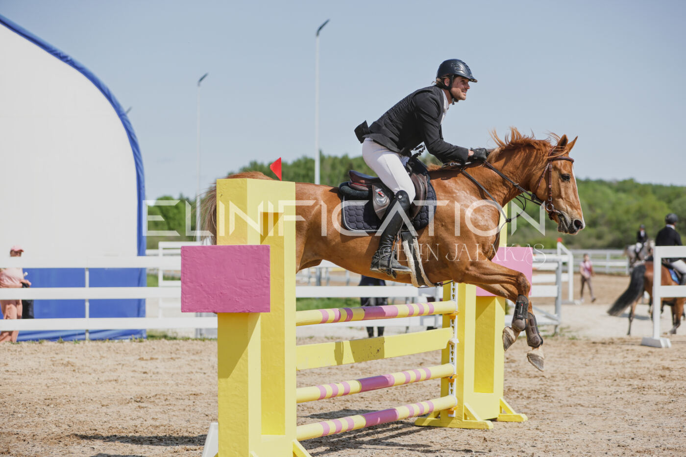 Gramina_Kevad_2026_100_271