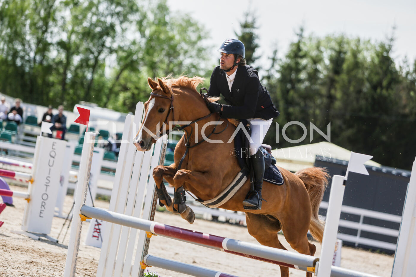 Gramina_Kevad_2026_100_272