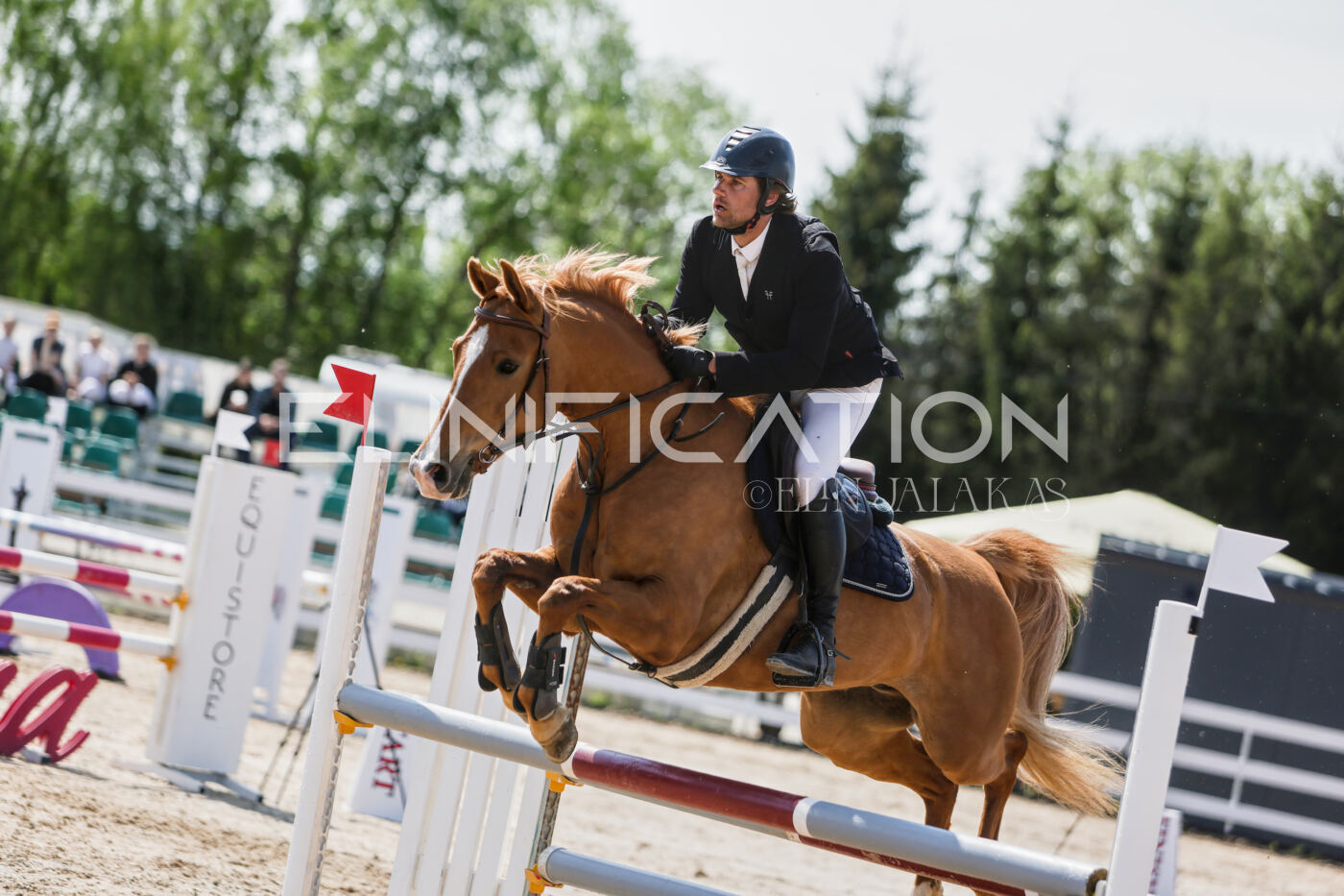Gramina_Kevad_2026_100_273