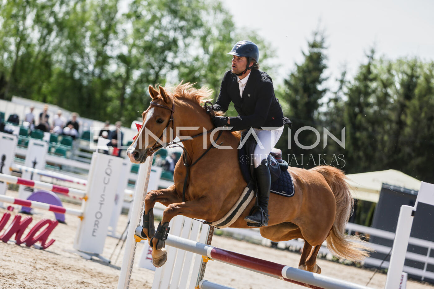 Gramina_Kevad_2026_100_274