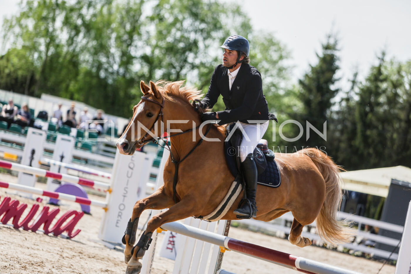 Gramina_Kevad_2026_100_275