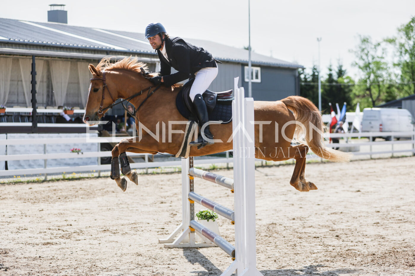 Gramina_Kevad_2026_100_277