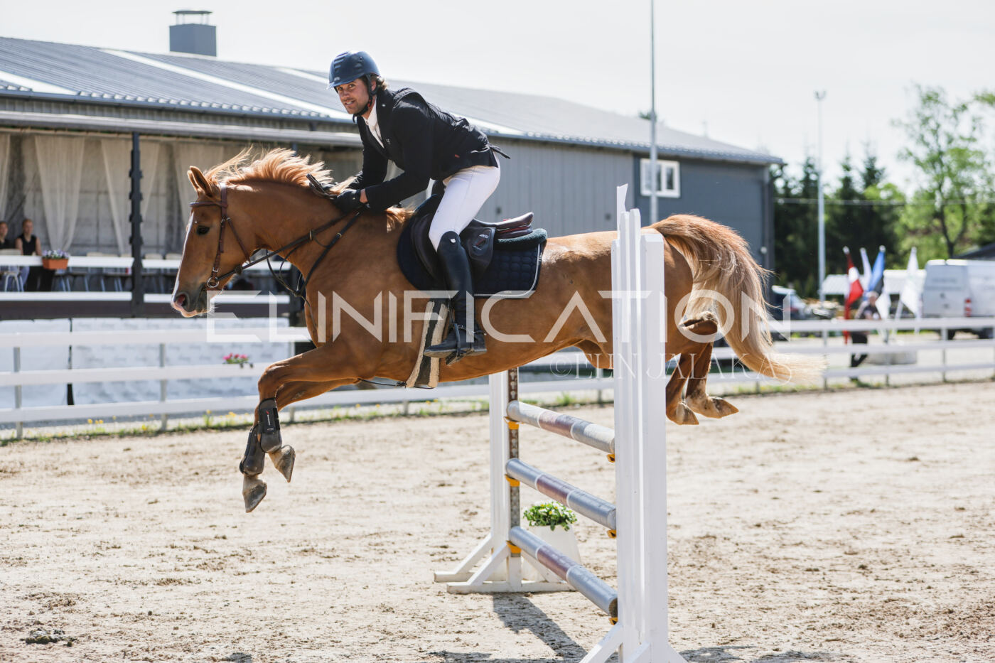 Gramina_Kevad_2026_100_278