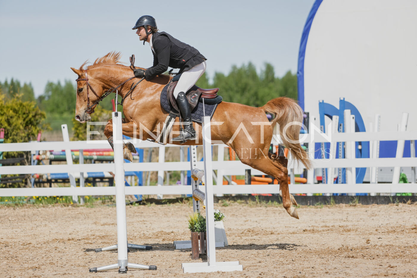 Gramina_Kevad_2026_100_279