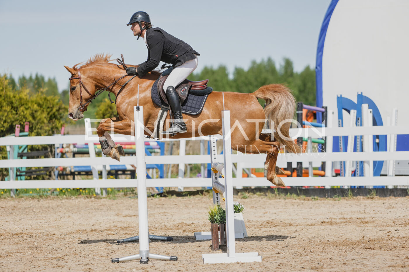 Gramina_Kevad_2026_100_280
