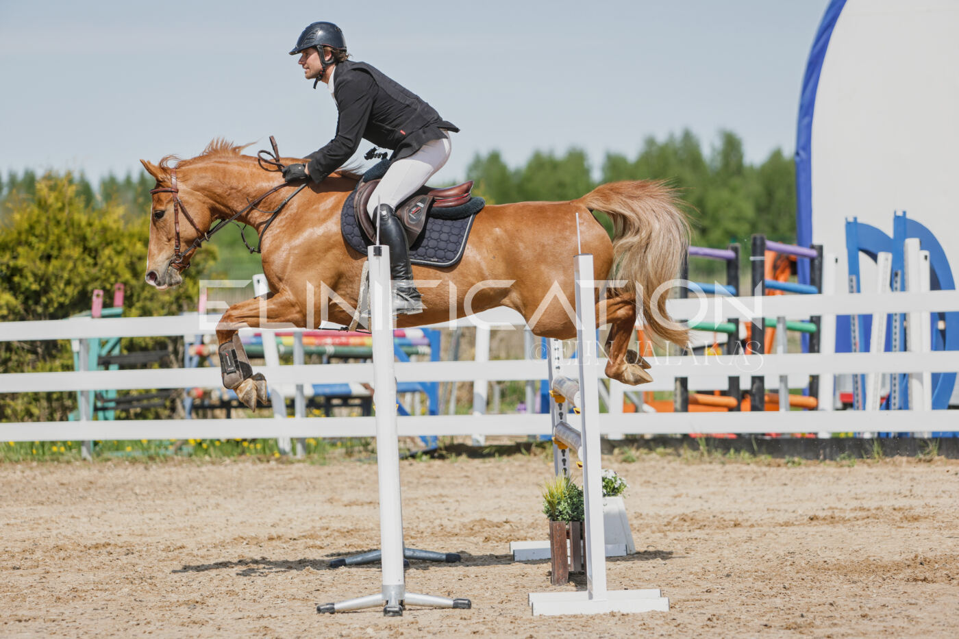 Gramina_Kevad_2026_100_281