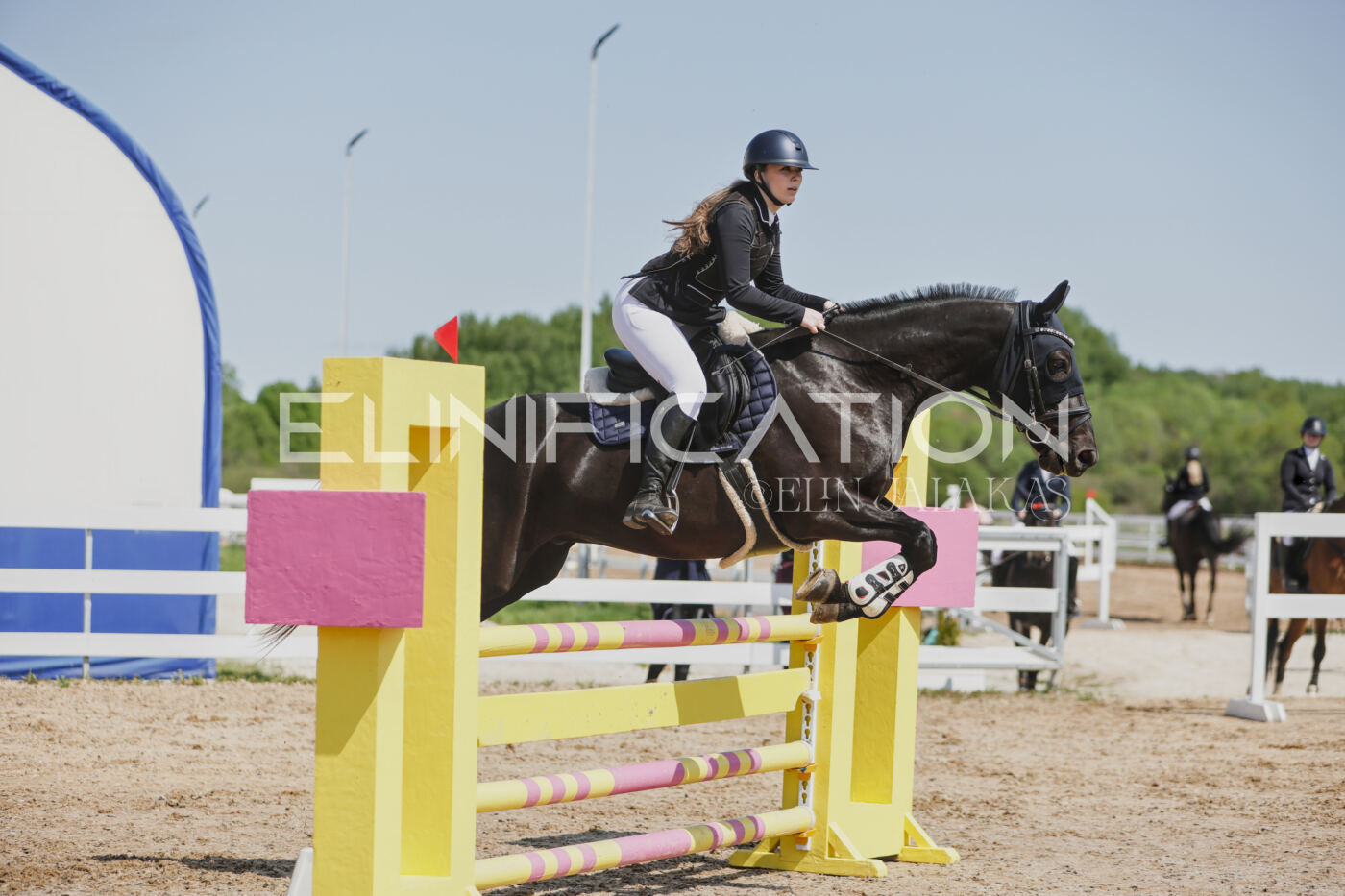 Gramina_Kevad_2026_100_286