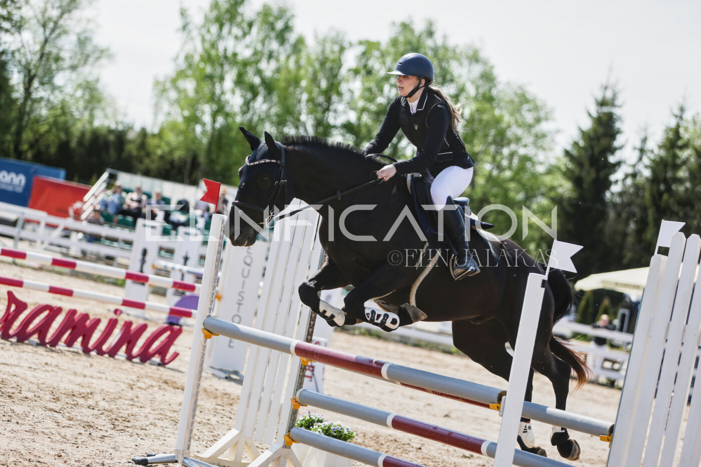 Gramina_Kevad_2026_100_288