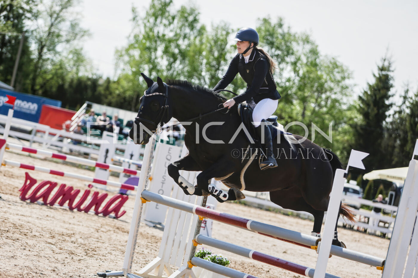 Gramina_Kevad_2026_100_289