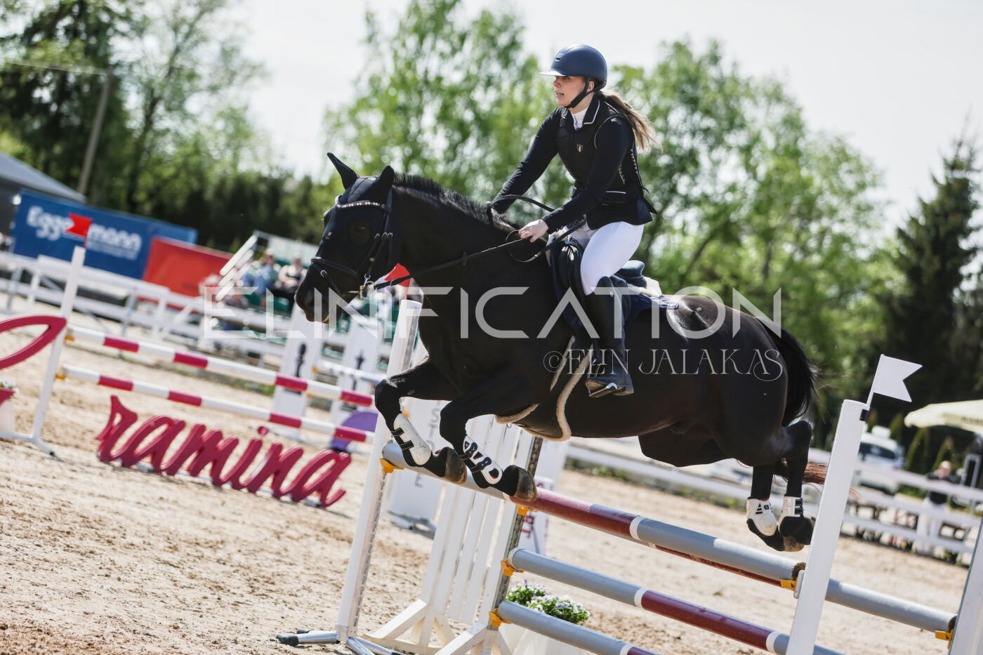 Gramina_Kevad_2026_100_290