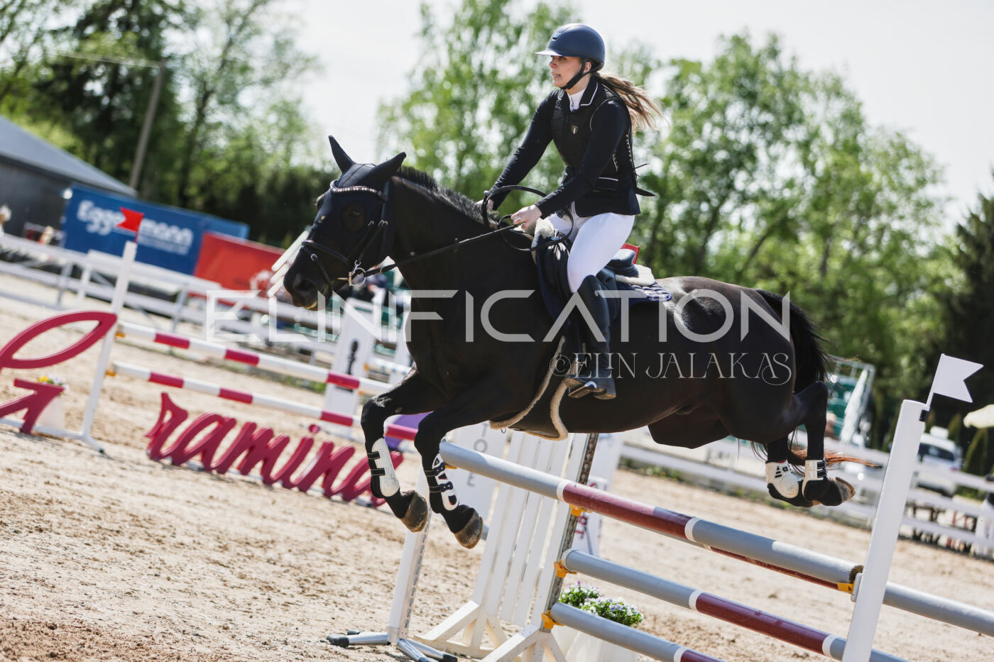 Gramina_Kevad_2026_100_291