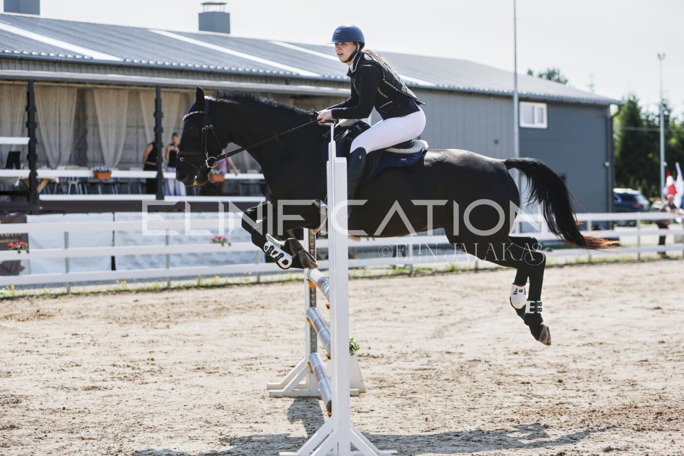 Gramina_Kevad_2026_100_294