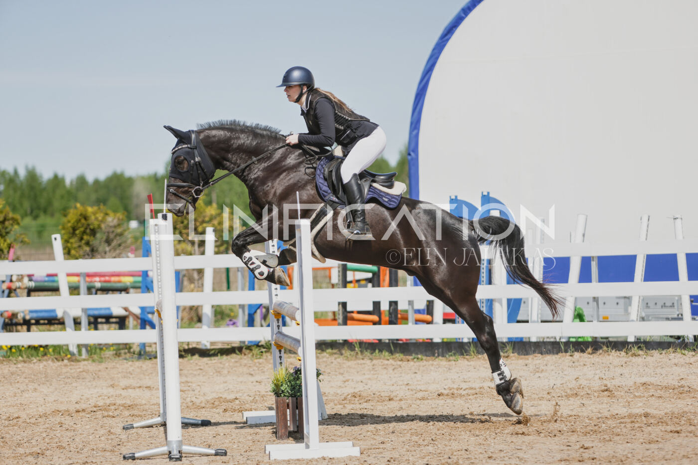 Gramina_Kevad_2026_100_297