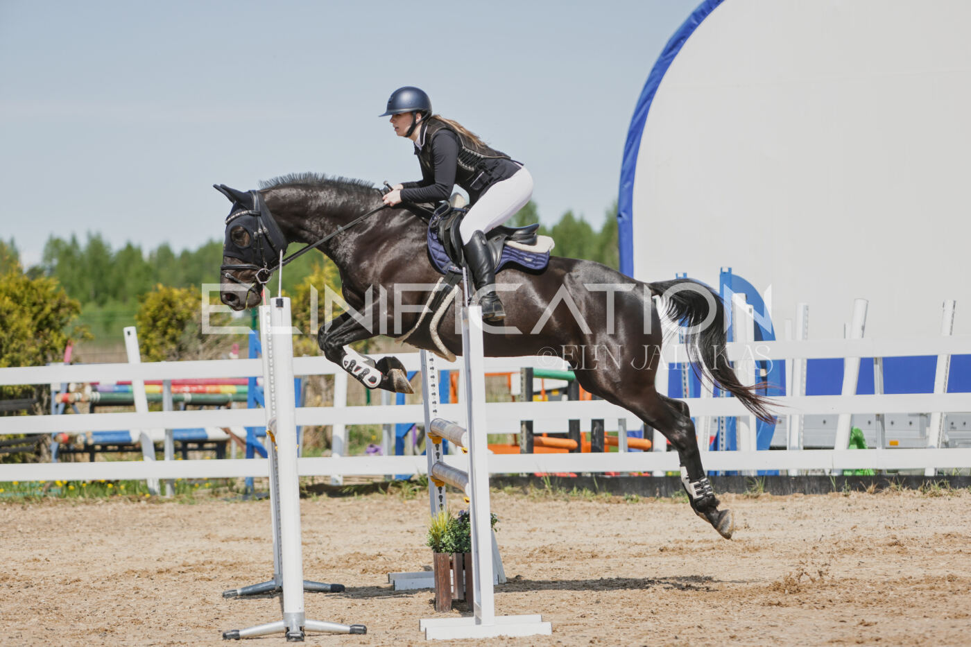 Gramina_Kevad_2026_100_298