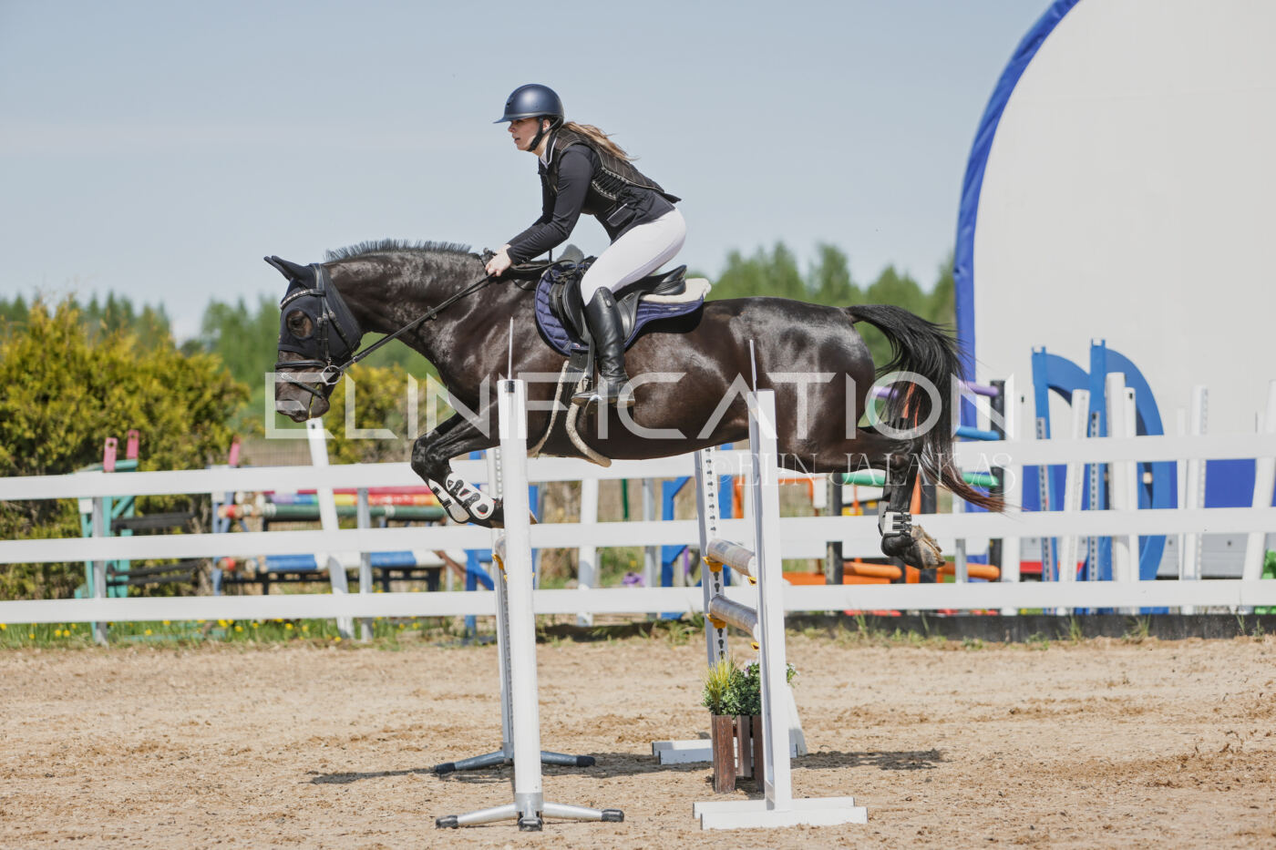 Gramina_Kevad_2026_100_300