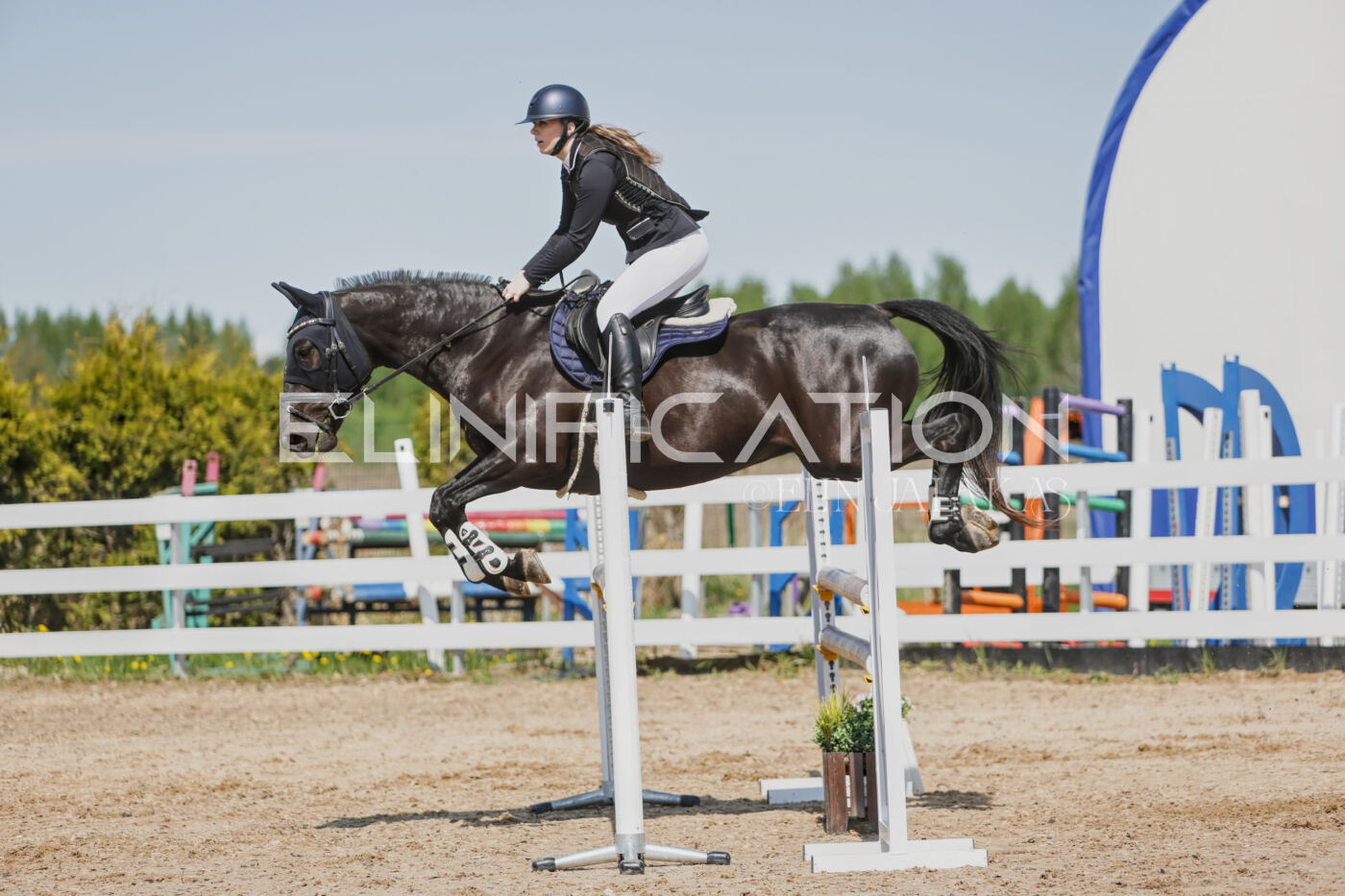 Gramina_Kevad_2026_100_301