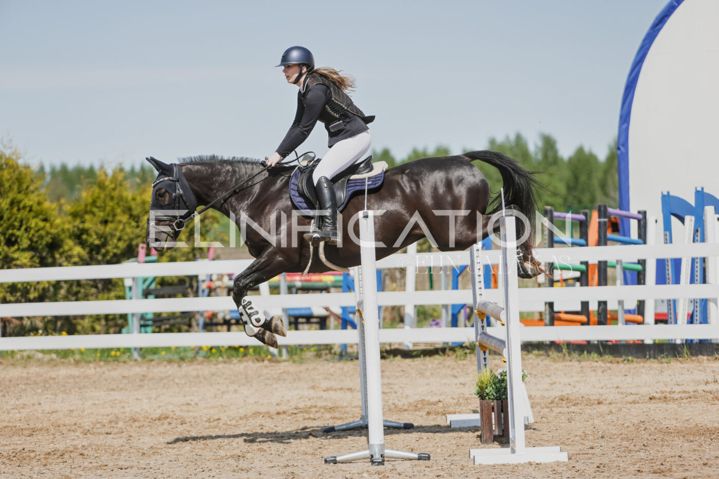 Gramina_Kevad_2026_100_302