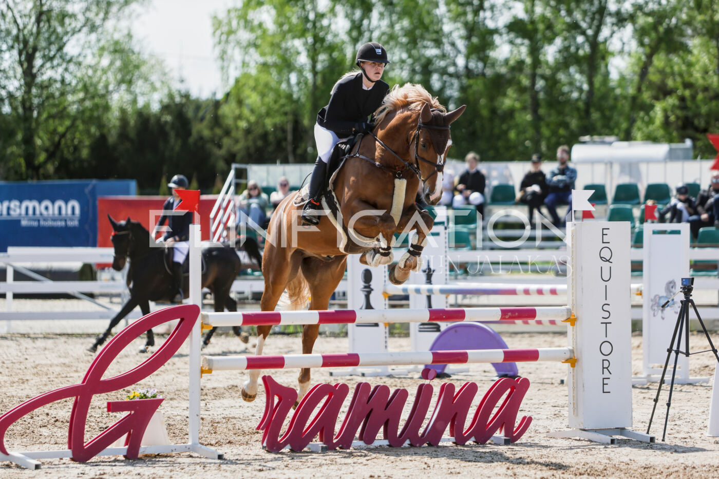 Gramina_Kevad_2026_100_303