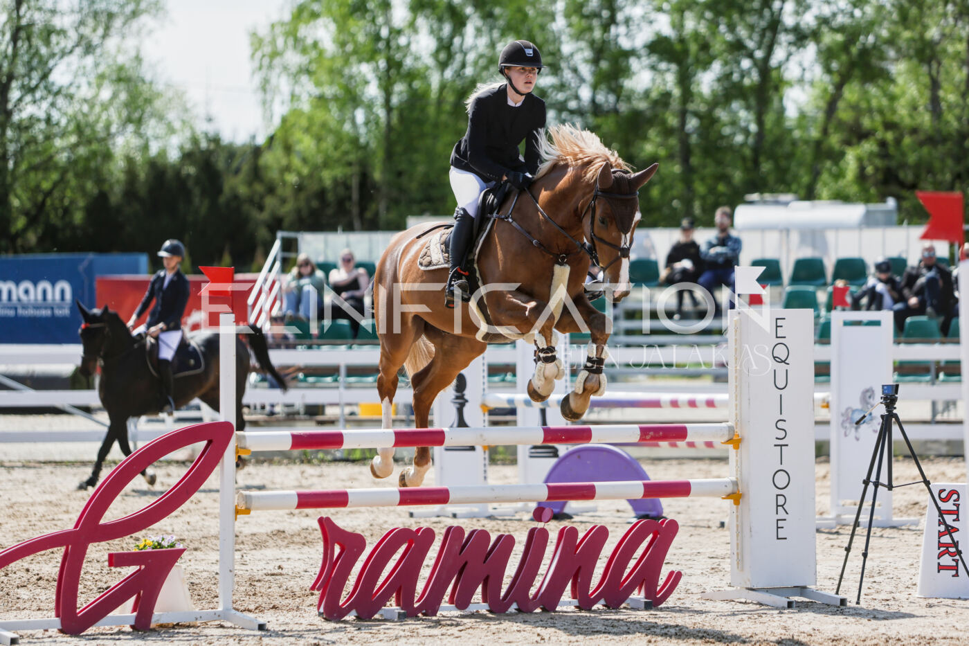 Gramina_Kevad_2026_100_305