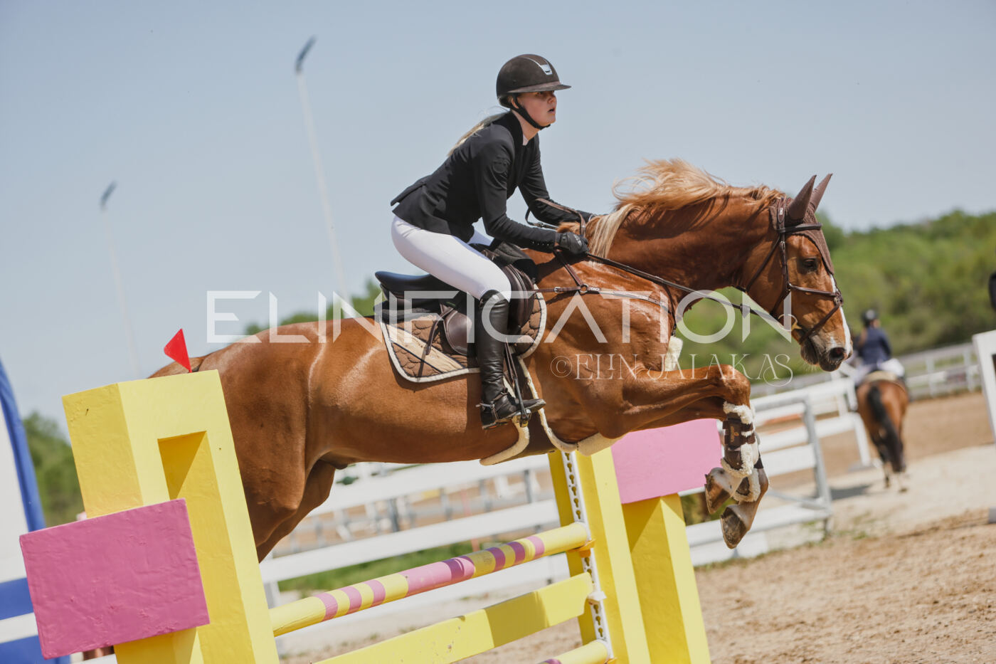 Gramina_Kevad_2026_100_306
