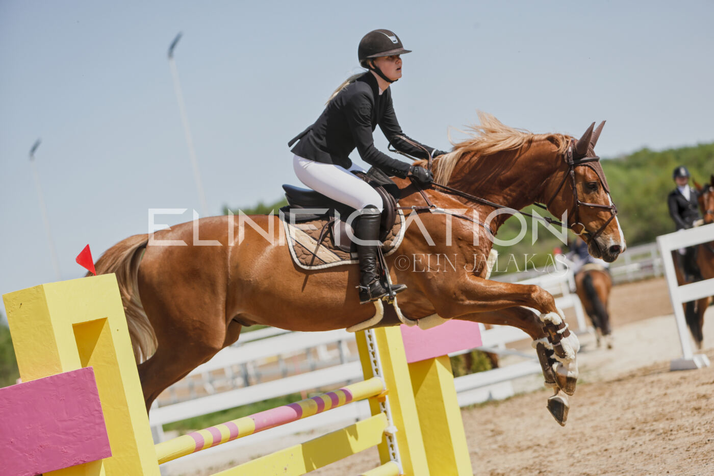 Gramina_Kevad_2026_100_307