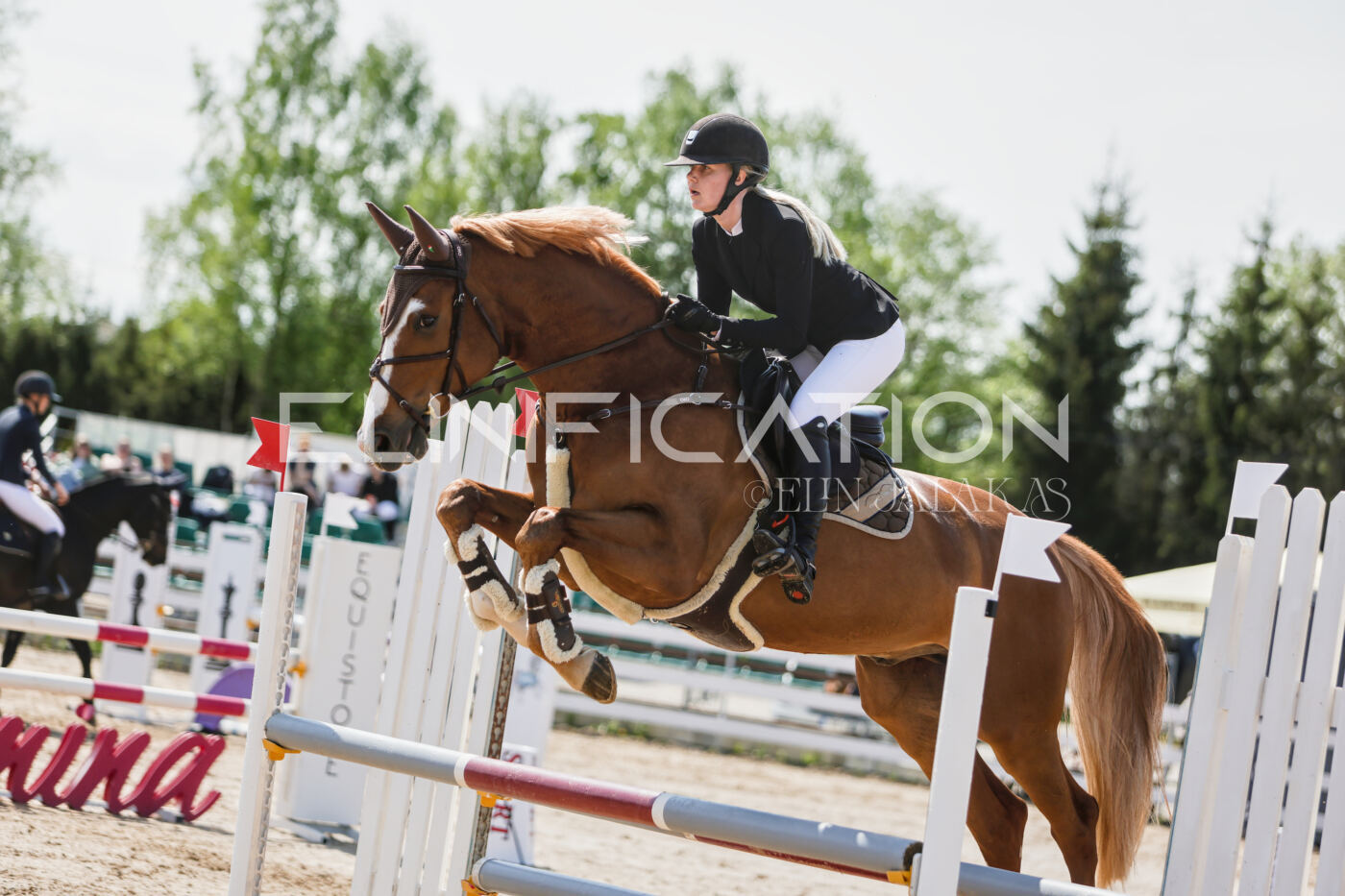 Gramina_Kevad_2026_100_308