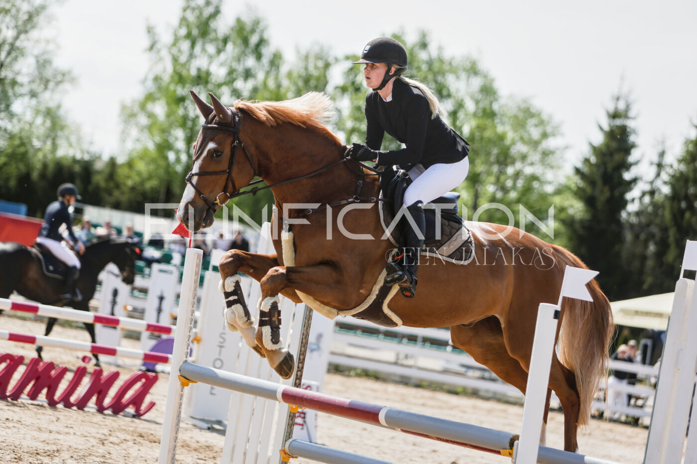 Gramina_Kevad_2026_100_309