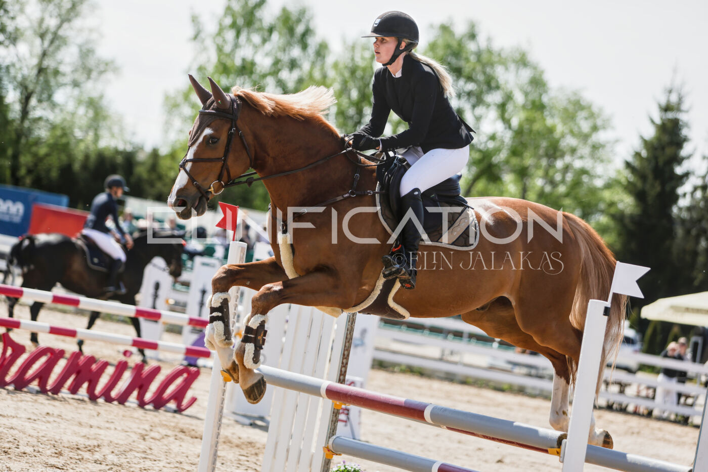 Gramina_Kevad_2026_100_310